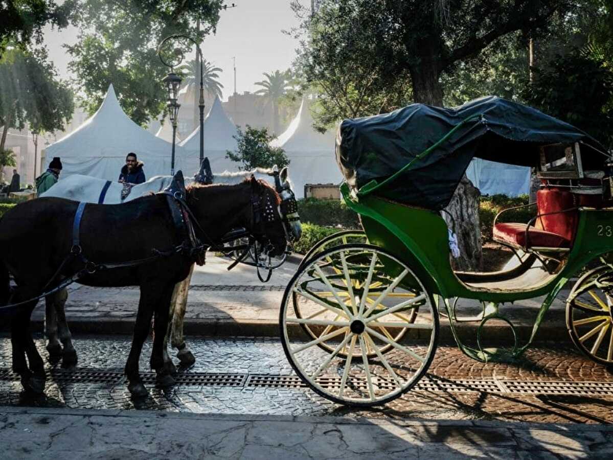 riad livia horse carriage near jemaa-el-fna